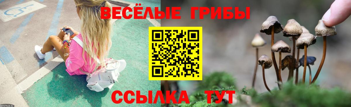 Химки  Псилоцибиновые грибы прущие грибы  Вход с VPN 